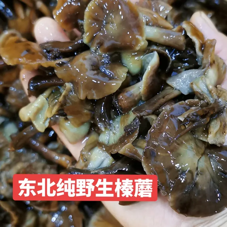 野生榛蘑，焯水拌盐咸蘑菇，泡三四个小时泡淡之后在吃