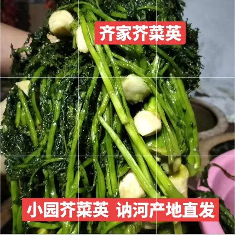 2025年8月新腌芥菜英，大缸腌制咸口，泡淡之后凉拌或炖豆腐