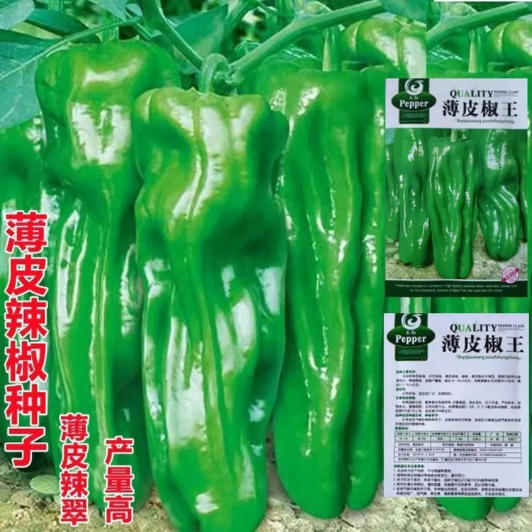 薄皮泡椒辣椒种子牛角春季夏四季种籽高产盆栽南方种北苗蔬菜种孑