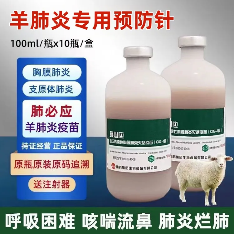 羊传染性胸膜肺炎疫苗兽用肺必应预防羊传胸疫苗支原体肺炎
