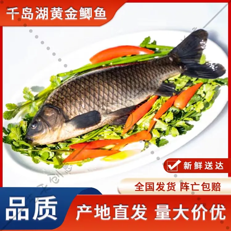 杭州千岛湖鱼   黄金鲫鱼 （福利款）原生态鱼顺丰包邮 鲫鱼