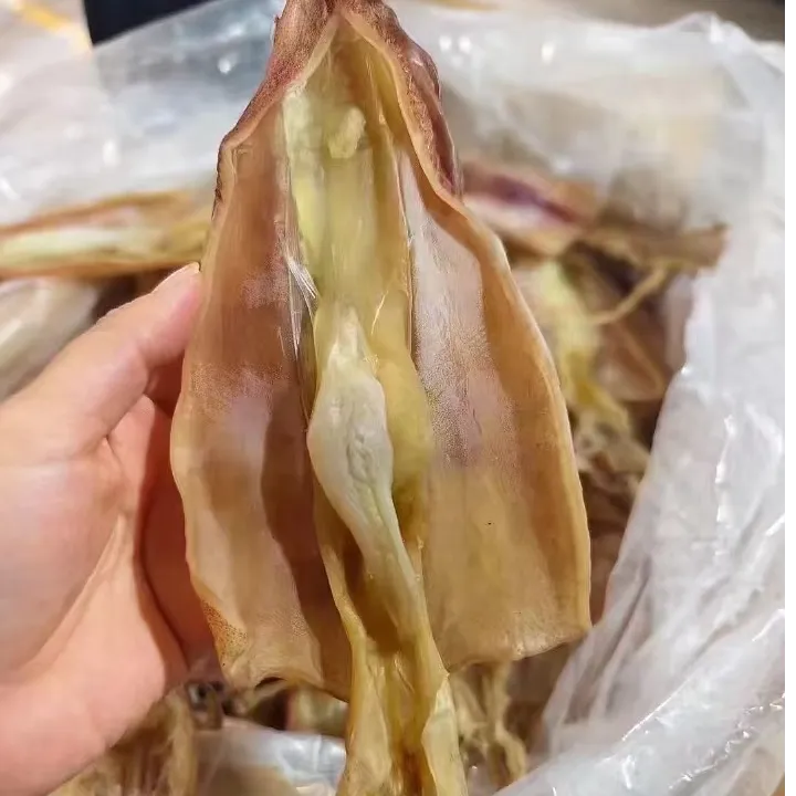 东山岛鱿鱼母干海鲜