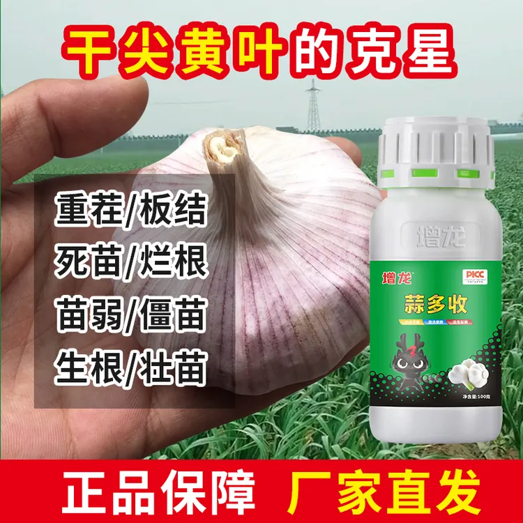 大蒜叶面肥【蒜苗干尖黄叶专用药】生根壮苗大量元素水溶肥料