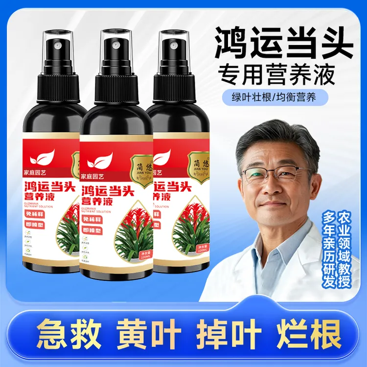 鸿运当头营养液水培红掌预防叶子发黄黑叶肥料粉掌盆栽烂根专用肥