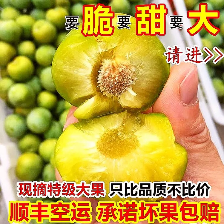 万州分水李子巫山脆李四川重庆脱骨青脆空心李5斤非蜜冰蜂糖贵州