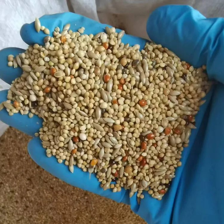 鹦鹉饲料鸟粮虎皮鹦鹉混合粮欧血大头鸟食带壳黄谷子包邮