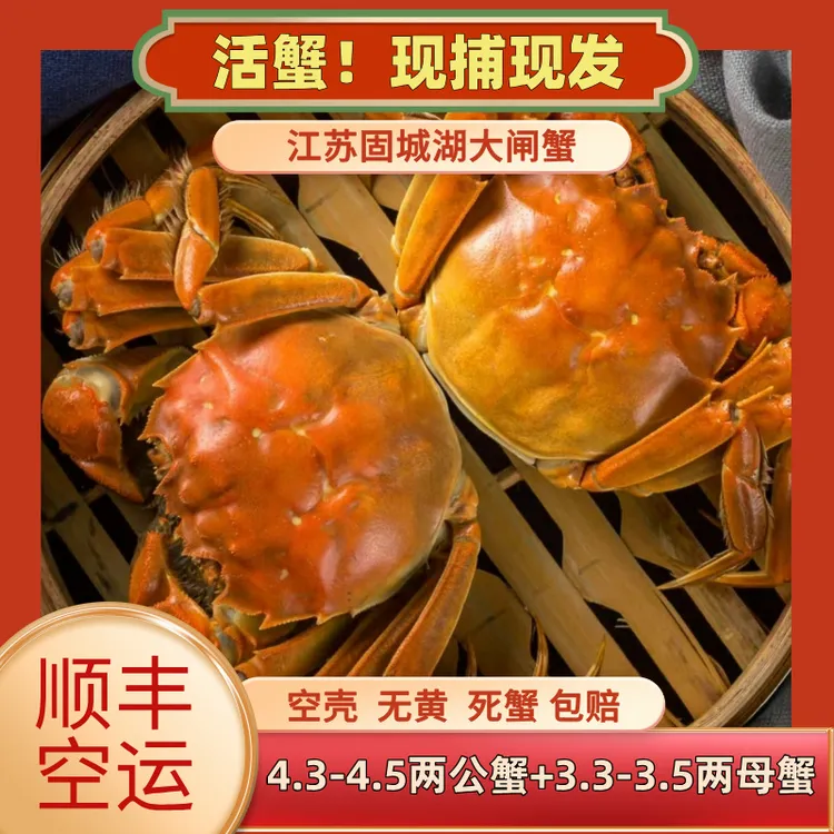 【活蟹】4.3-4.5两公蟹5只+3.3-3.5两母蟹5只 固城湖大闸蟹现捕现发