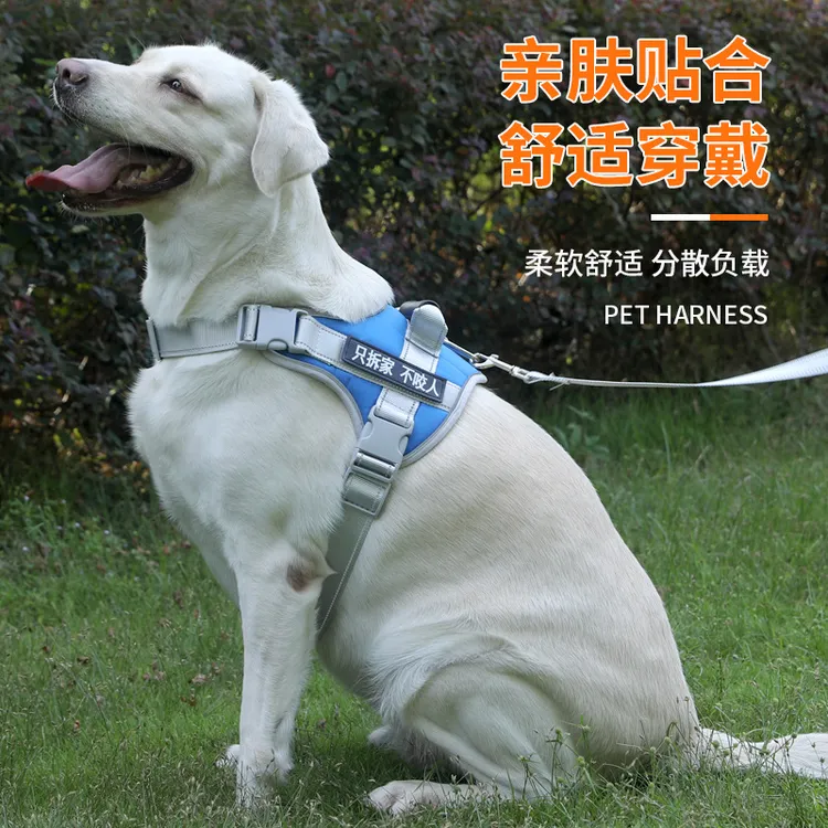 高强度胸防爆冲背心式拉布拉多狗链子中大型犬金毛牵引绳子可调