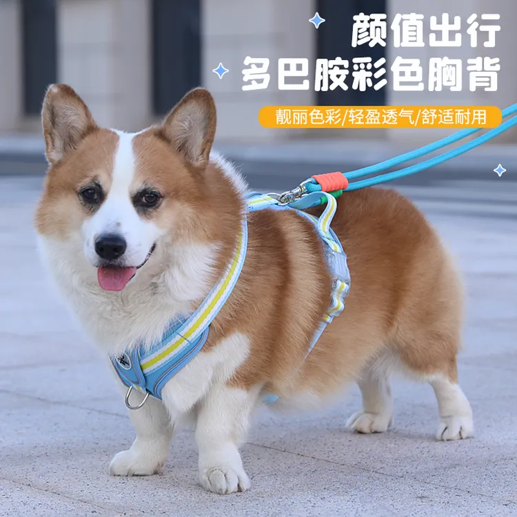 狗狗牵引绳反光胸背带背心式小型犬泰迪柯基比熊遛狗牵引绳狗链子