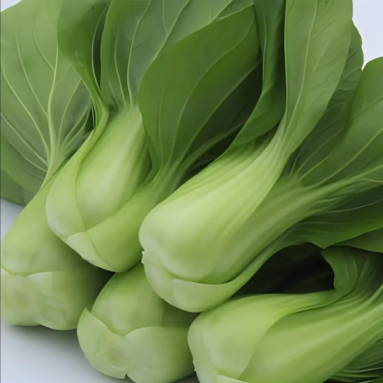 青菜云南大青菜当季新鲜蔬菜上海青现摘现发小青菜小油菜整箱批发