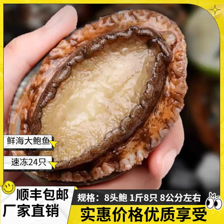 8头鲍24只3斤每只7-7.5cm东山岛速冻特大饱满精选活冻鲍鱼