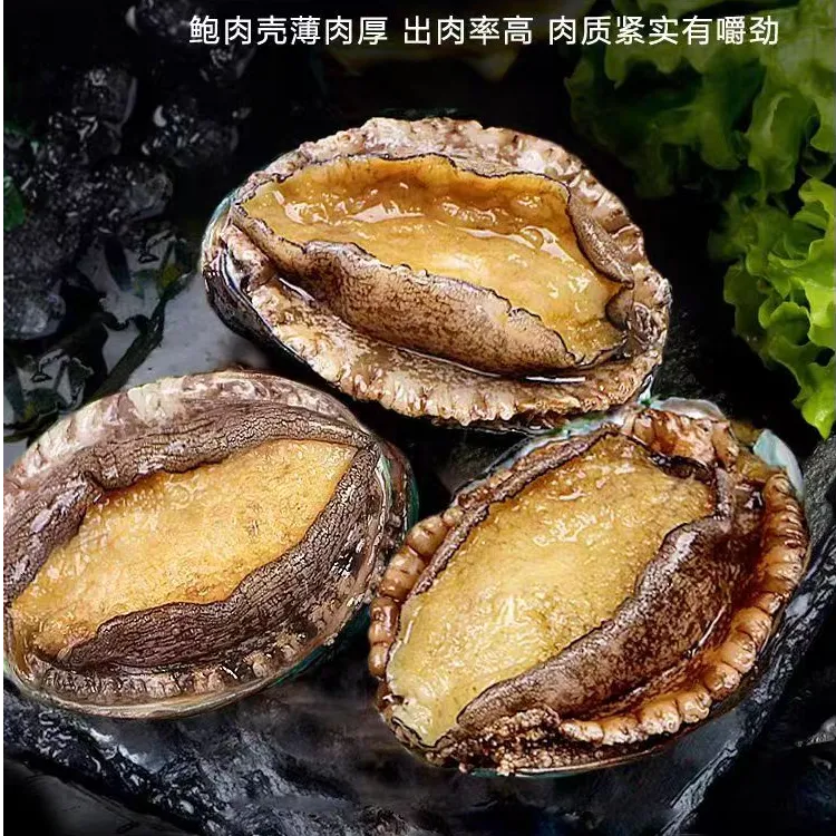 10头鲍30只3斤每只6.5-7cm东山岛速冻特大饱满精选活冻鲍鱼