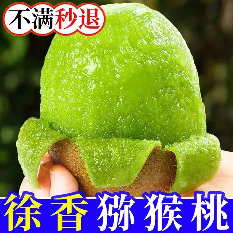 【生态徐香】眉县徐香猕猴桃果园现摘现发新鲜当地水果