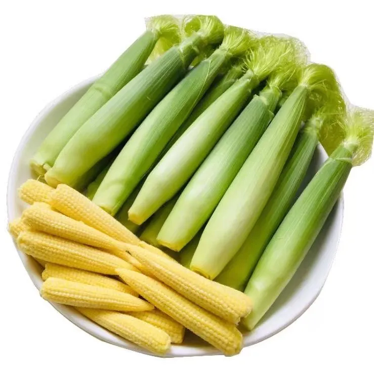 广西现摘新鲜玉米笋心带皮带须迷你1-9斤水果甜玉米脆嫩农产品