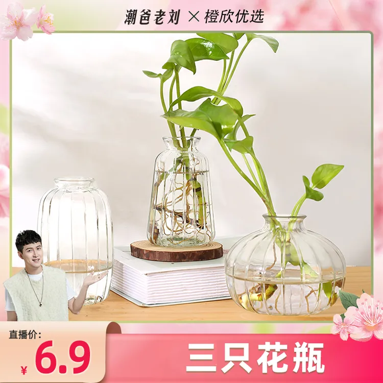 【潮爸老刘推荐】ins风透明组合花瓶现代简约玻璃客厅卧室