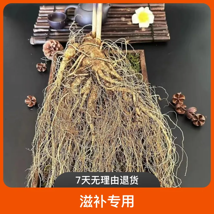 长白山新鲜人参带土现挖滋补大人参