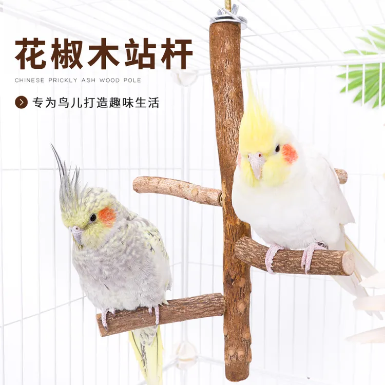 鹦鹉大号训练站架牡丹玄凤小太阳秋千适合不锈钢鸟站架子鸟玩具