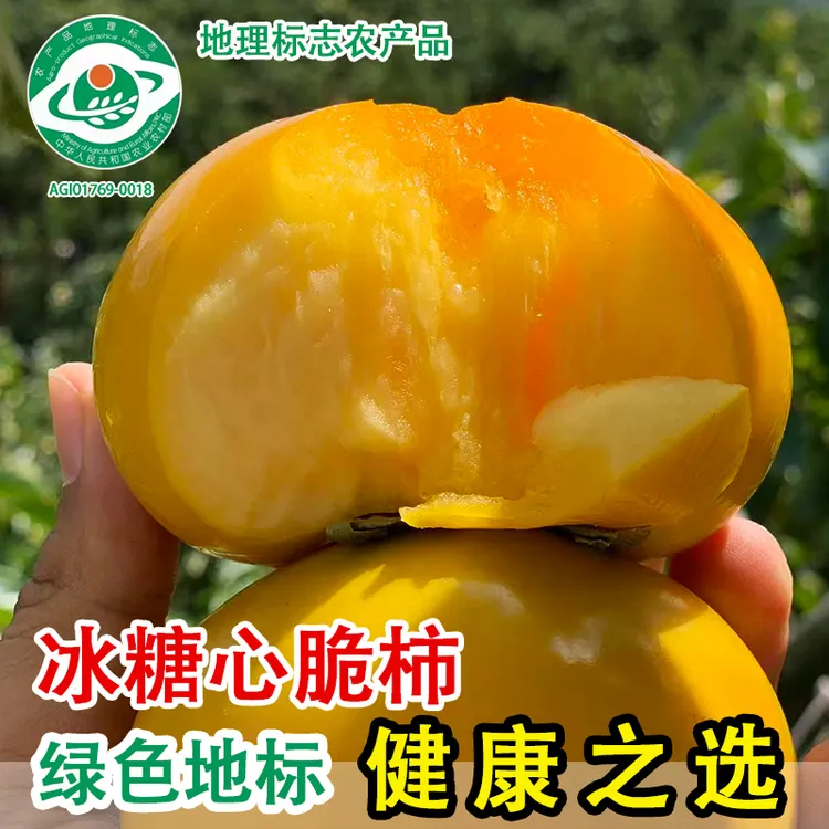 地标农产品【真空包装】广西恭城冰糖心脆柿现摘新鲜巧克力甜脆柿子