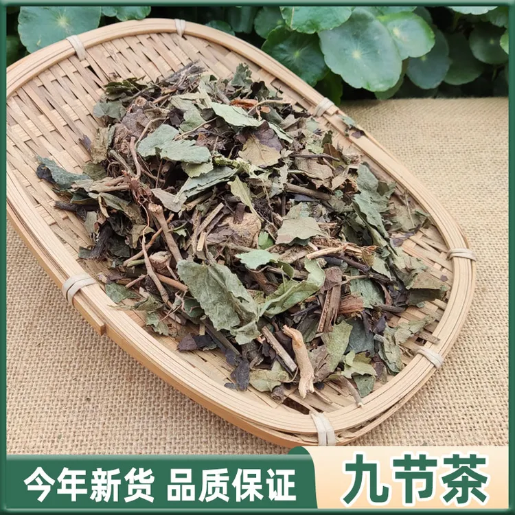 野生九节茶肿节风草珊瑚 九节风接骨莲  新鲜干货250克 500g 