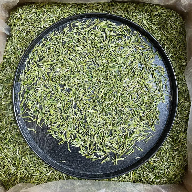 2025年新茶明前土种头采毛峰250g/500g