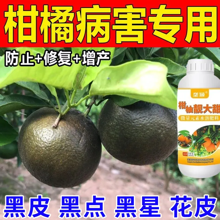 柑橘病专用除菌剂柑橘黑皮病裂果黑果溃疡病疮痂黄龙病黄叶炭疽病