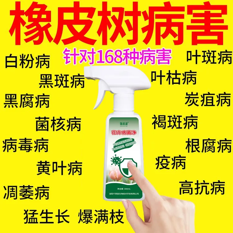橡皮树营养液专用黑斑炭疽白粉病霜霉病枯萎病根腐叶枯免稀释肥料