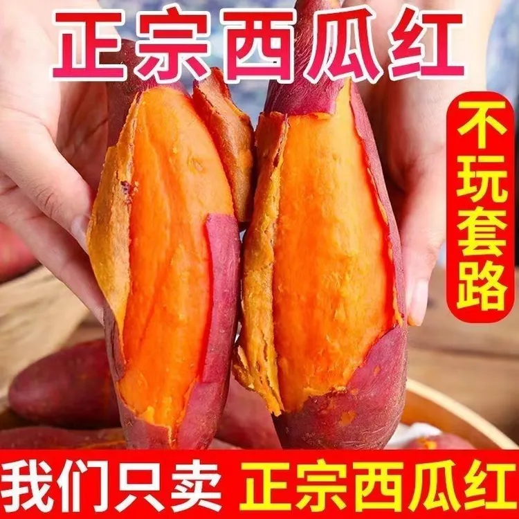 【新人福利】2025云南西瓜红蜜薯红心板栗蜜薯软糯香甜3/5/9斤装