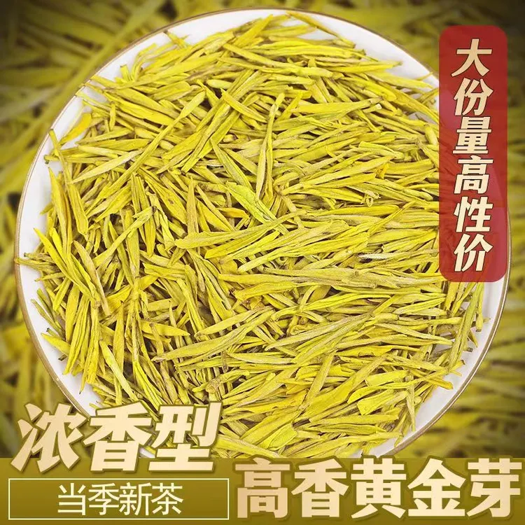 （口粮黄金芽）新茶春茶绿茶豆香味浓郁回甘耐泡厂家直销