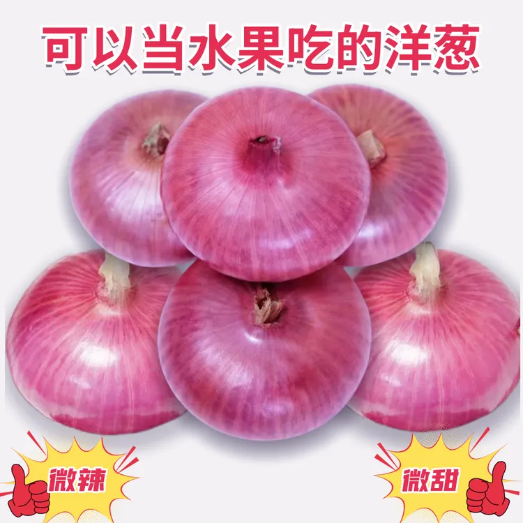 山东扁洋葱生吃水果洋葱微辣微鲜嫩甜脆爽多汁