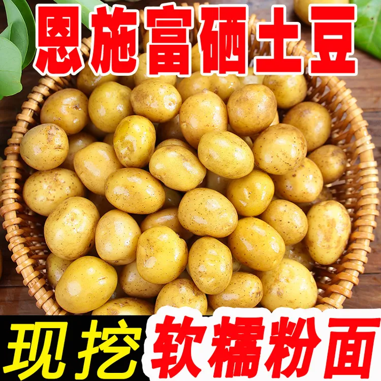 湖北恩施高山黄心土豆优选新鲜美味好吃3/5/9斤马铃薯洋芋细腻