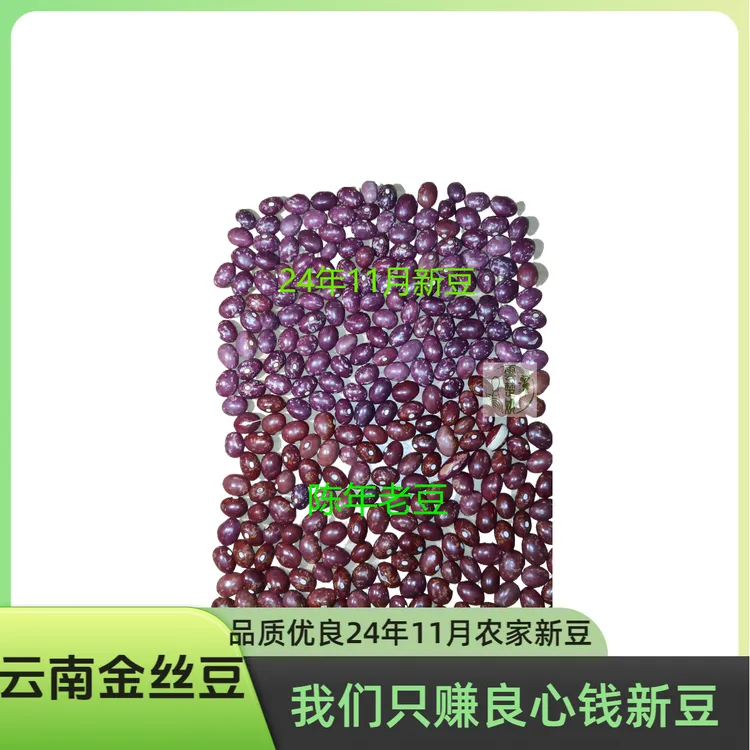 云南正宗高山金丝豆芙蓉豆芸豆24年新豆【五谷杂粮红豆煮汤金丝豆】