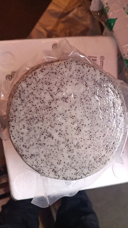 天星米糍粑包谷糍粑1斤半一个家乡味圆形粗粮