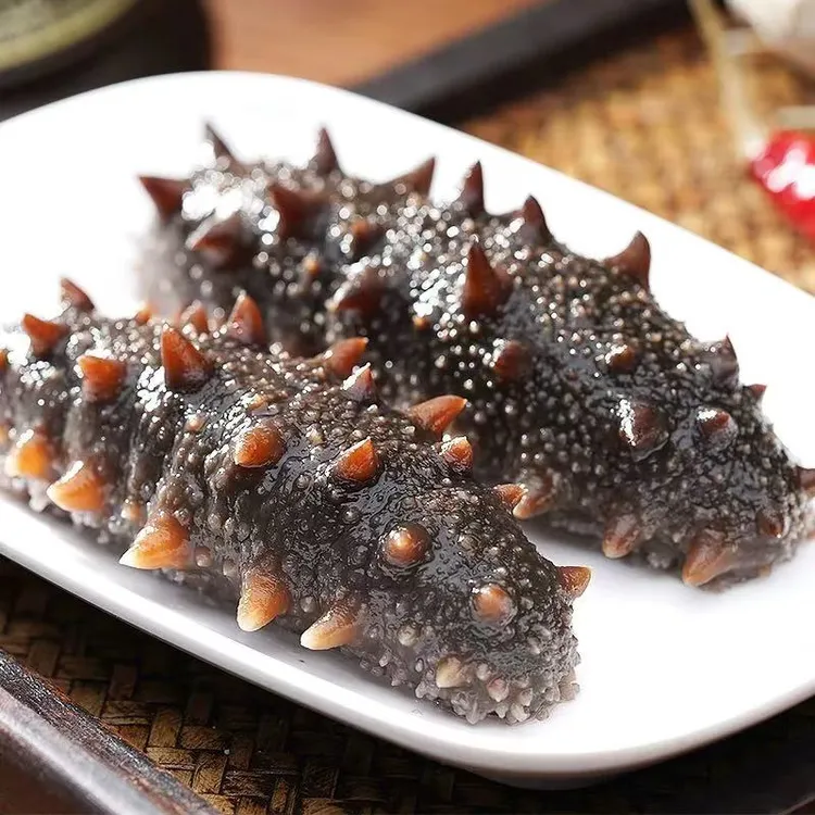 海参  即食新鲜海参 30-50头