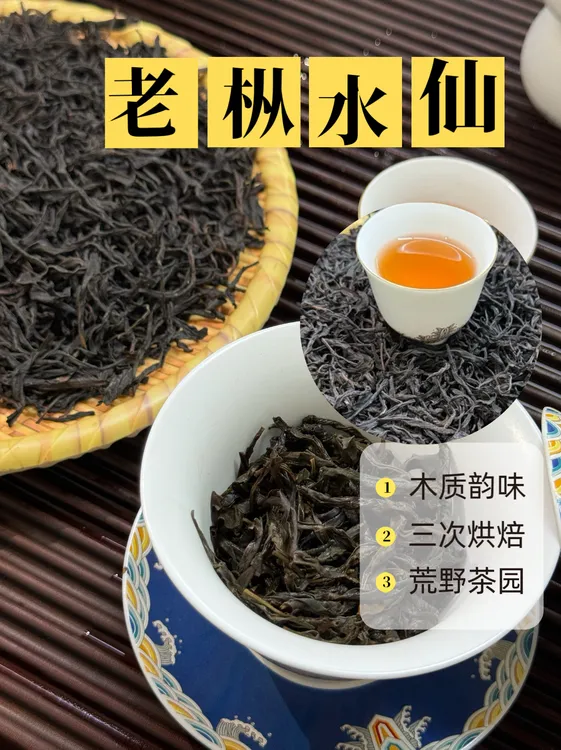 新春茶荒野【老枞水仙鸟嘴老仙翁】山韵高档凤凰单丛凤凰单丛茶
