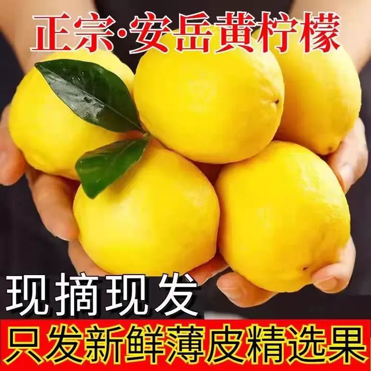 新鲜安岳黄柠檬一级果薄皮多汁适合泡水榨汁