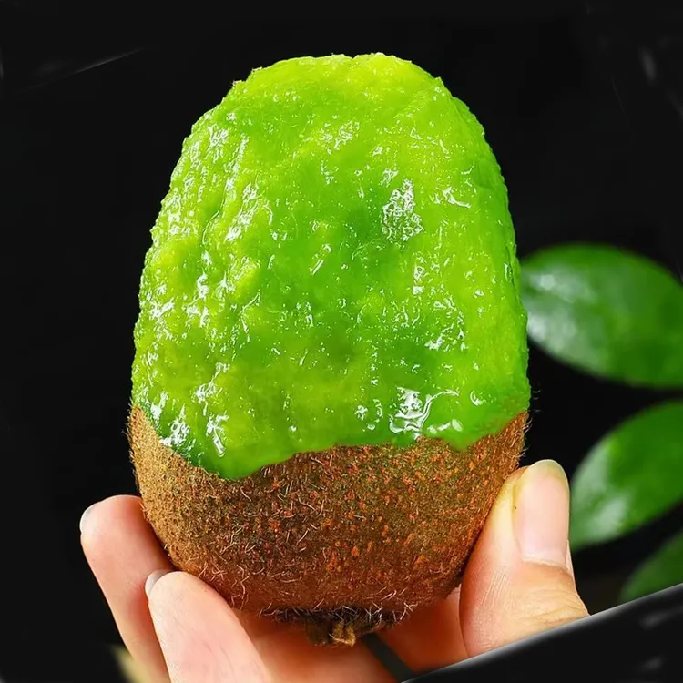 【放软即食】 正宗甜陕西眉县徐香绿心猕猴桃15枚60g新鲜水果奇异果