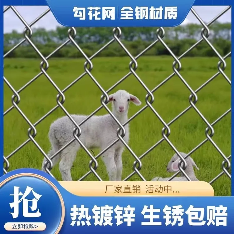 热镀锌铁丝网养殖网猪牛羊狗园林山地防护围栏网