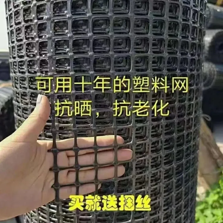 养鸡鸭塑料围栏网家用养殖网果园菜园圈地结实耐用防护网优质现货