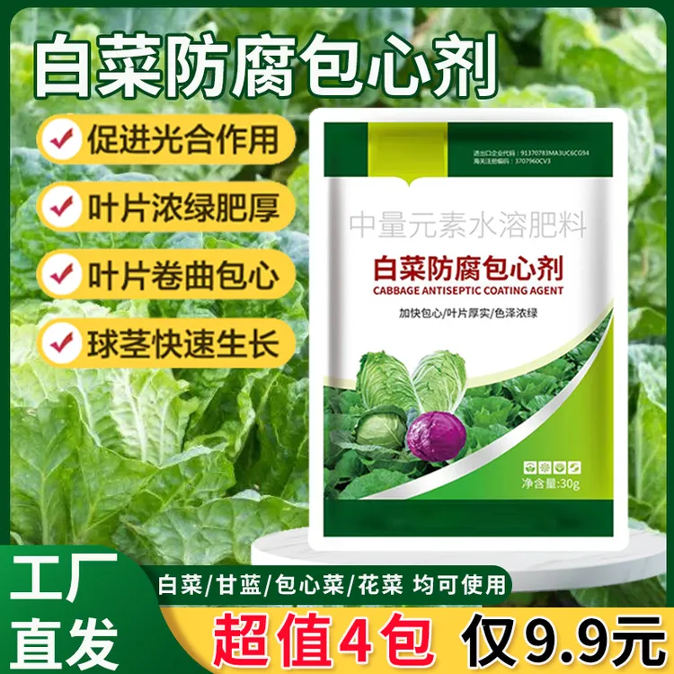 白菜防腐包心剂 甘蓝防病速长剂生长剂抗旱抗寒肥料