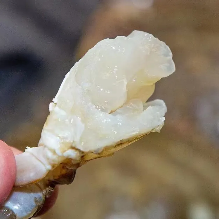【经济款】舟山淡膏呛蟹/肉蟹 签收立刻速冻（不可蒸煮）