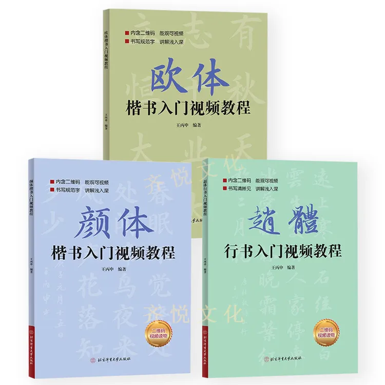 【现货】赵体行书入门教程 欧体颜体扫码看视频基本笔画偏旁部首