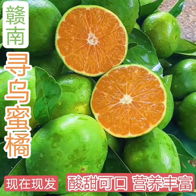 正宗赣南寻乌青皮蜜橘无籽孕妇应季水果酸甜可口假一罚十