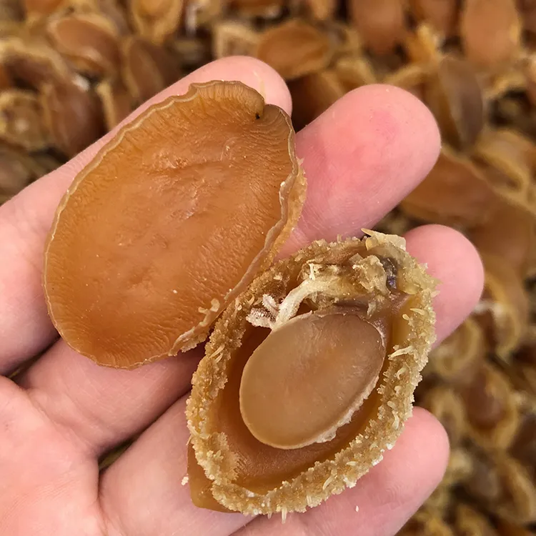 60头鲍鱼干 250g/500g 淡干海鲜干货佛跳墙煲汤大连大干鲍鱼批发