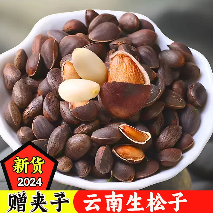 【2024云南生松子】新鲜湿松子落水松散装大颗粒非东北松籽仁饱满