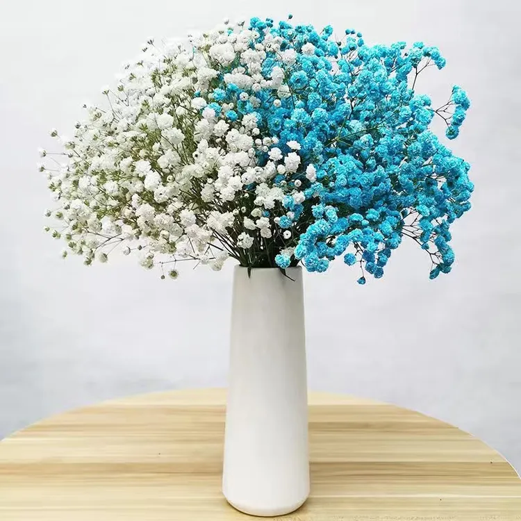 琦鸿莱云南昆明基地直发发货鲜花满天星梦幻