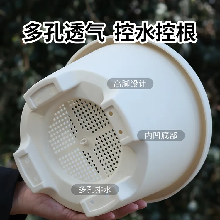 加厚塑料矮款花盆朱顶红铃兰花矮牵牛天竺葵球根草花盆栽专用盆