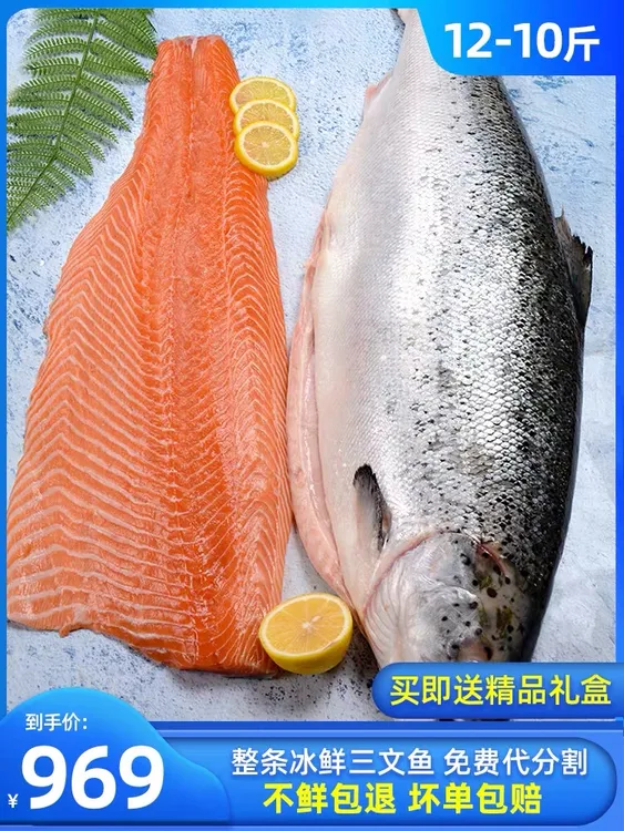 整条新鲜三文鱼一条10到11斤
