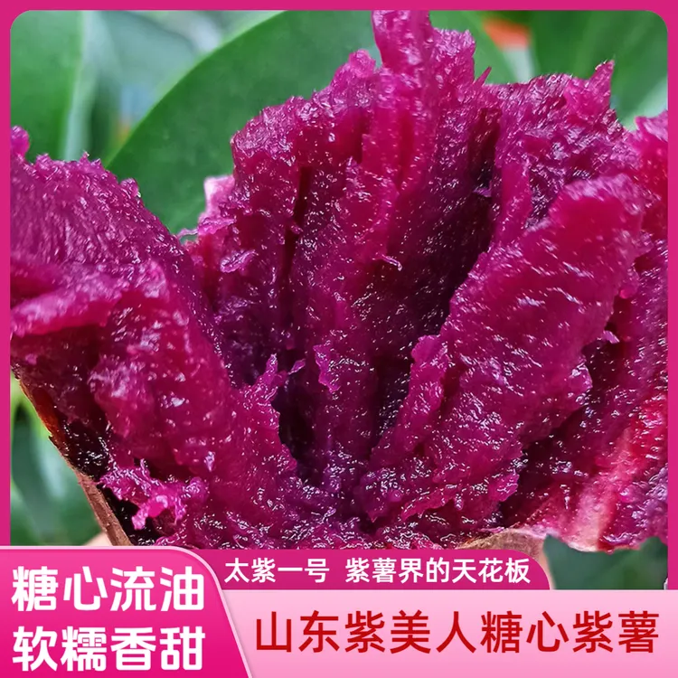 高山紫美人紫薯可以烤着吃的紫薯软糯香甜糖心太紫一号糖心流油