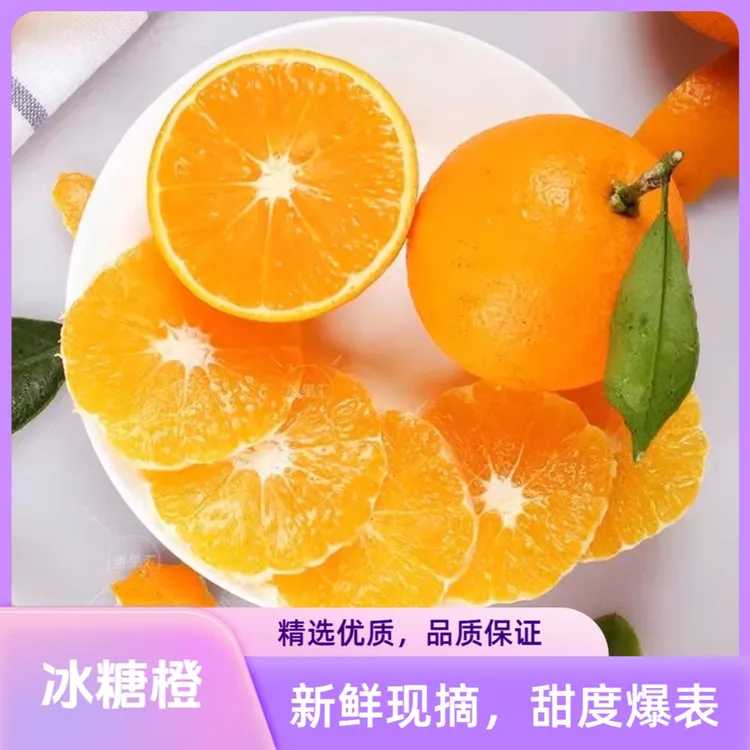 湖南湘西冰糖橙5斤小果阳光甜橙皮薄脆嫩自然种植原产地发货