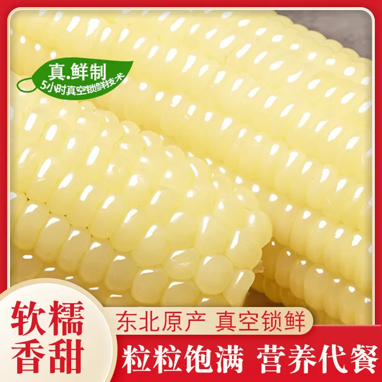 【10根5-6斤/箱含试吃2根】 东北白糯玉米新鲜甜糯营养代餐真空装g